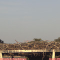 19_40-mast.jpg