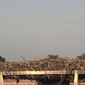 20_05-mast.jpg