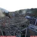 20_45-nest.jpg