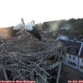 21_00-nest.jpg