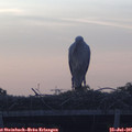 06_00-mast.jpg
