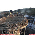 06_05-nest.jpg