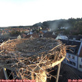 06_10-nest.jpg
