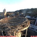 06_15-nest.jpg