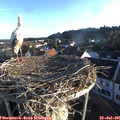 06_40-nest.jpg