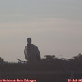06_55-mast.jpg