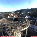 07_00-nest.jpg
