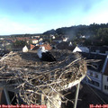 07_05-nest.jpg