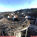 07_10-nest.jpg