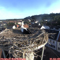 07_15-nest.jpg