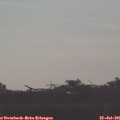 07_20-mast.jpg