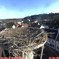 07_20-nest.jpg