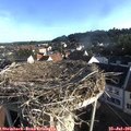 07_25-nest.jpg