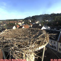 07_35-nest.jpg