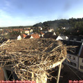 07_40-nest.jpg