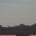 07_50-mast.jpg