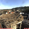 07_50-nest.jpg