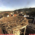 07_55-nest.jpg