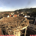 08_00-nest.jpg