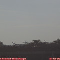 08_10-mast.jpg