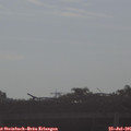 08_25-mast.jpg