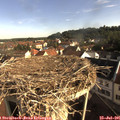 08_35-nest.jpg