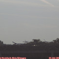 08_40-mast.jpg