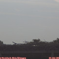 08_45-mast.jpg
