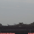 08_50-mast.jpg