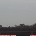 08_55-mast.jpg