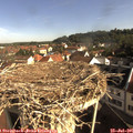 09_00-nest.jpg