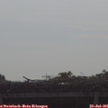 09_05-mast.jpg