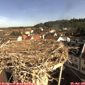 09_10-nest.jpg