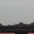 09_25-mast.jpg