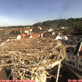 09_30-nest.jpg