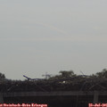 09_35-mast.jpg