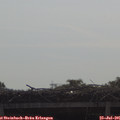 09_40-mast.jpg