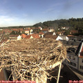 09_45-nest.jpg