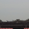 09_55-mast.jpg