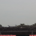 10_00-mast.jpg