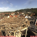 10_00-nest.jpg