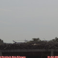 10_05-mast.jpg