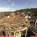 10_05-nest.jpg