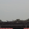 10_10-mast.jpg