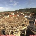 10_10-nest.jpg