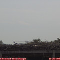 10_15-mast.jpg
