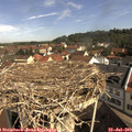 10_15-nest.jpg