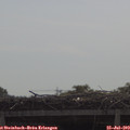 10_20-mast.jpg