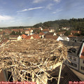 10_20-nest.jpg