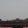 10_25-mast.jpg